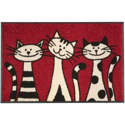 Wash + Dry, Fussmatte, Three Cats (75 x 50 cm)