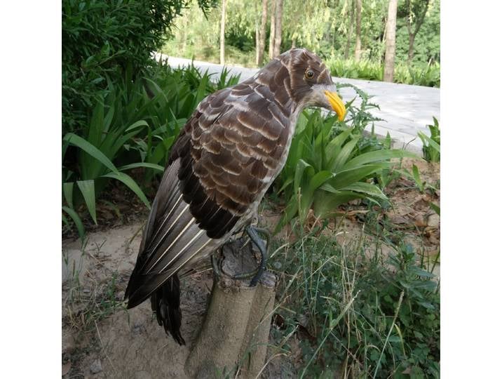 Modèle d'aigle réaliste de 45 cm en mousse et plumes, qualité cinéma, cadeau de collection pour les cinéastes et les ornithophiles