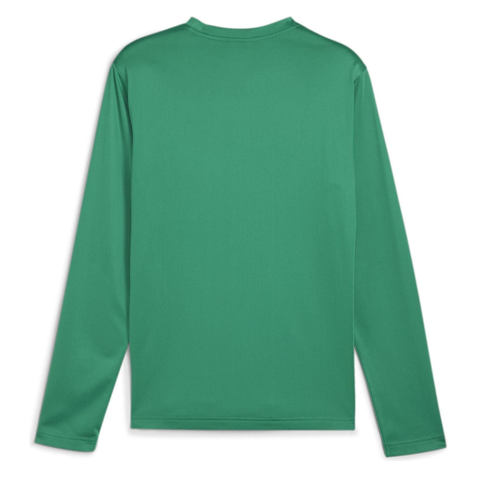 Puma teamGOAL Training Sweat (L) (658649_05)