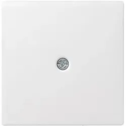 Gira Zentraleinsatz rws-gl 027403