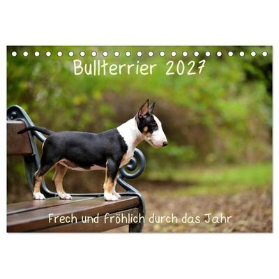 Bullterrier 2027 Frech und fröhlich durch das Jahr (Tischkalender 2027 DIN A5 quer), CALVENDO Monatskalender