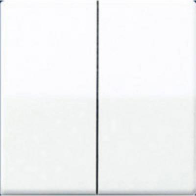 Jung Wippe aws AS 591-5 WW