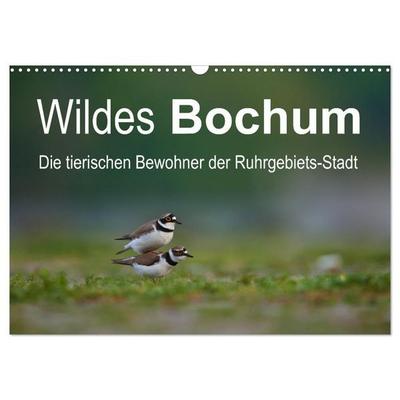 Wildes Bochum (Wandkalender 2027 DIN A3 quer), CALVENDO Monatskalender