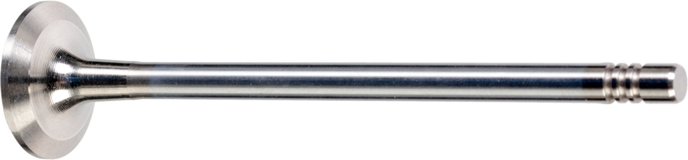 Febi Bilstein Auslassventil 176537 Für Smart Dacia