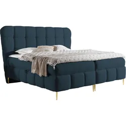 BOXBETT Lolly - H3