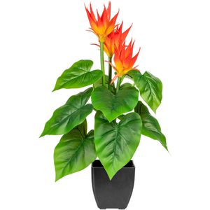 Creativ-green Kunstpflanze Guzmania, im Topf, Höhe 58 cm
