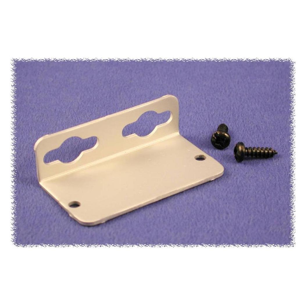 Hammond Wandmontagehalter für Gehäuse Serie 455 (Montagehalterung) (1455NF)