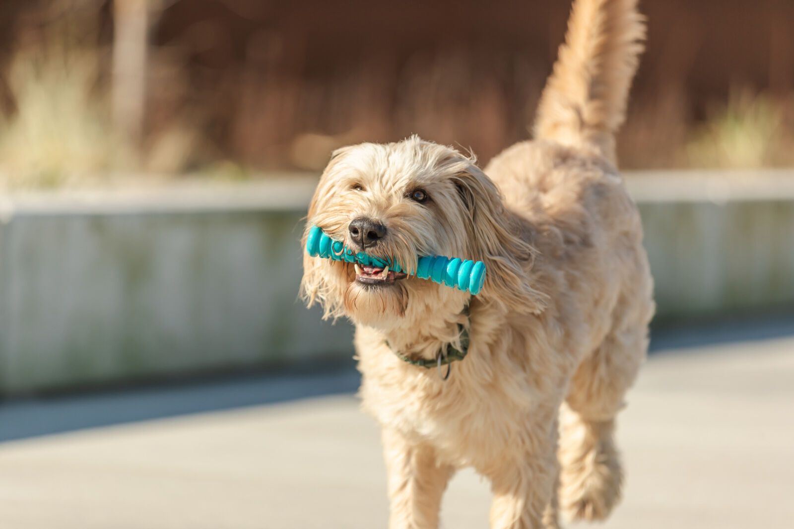 TRIXIE Super Strong Stick, 14 cm