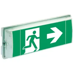 Ceag Notlichtsysteme Einzelbatterie-Leuchte 68111-8h/DLEDCGLine+