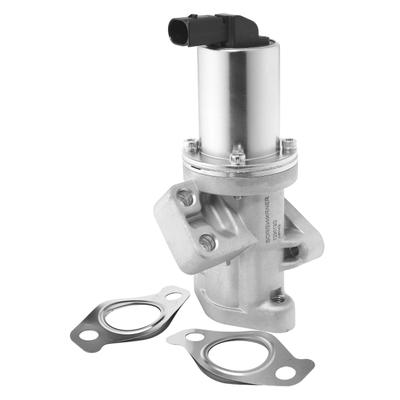 BORGWARNER AGR-Ventil 729019D für KIA