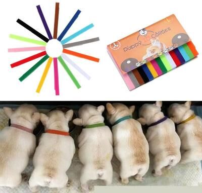 Inspired Finds 15 Piece Adjustable Puppy & Kitten Identification Collars For Newborn Litters m 10x300mm