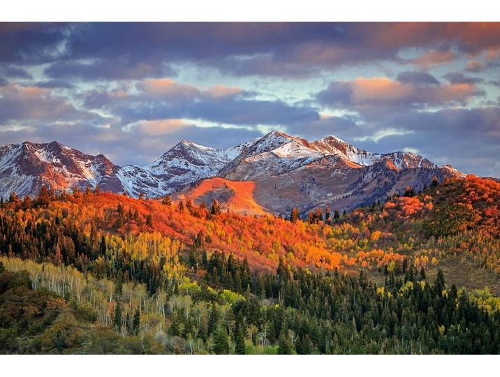 Fototapete PAPERMOON GEBIRGE-HERBST NATUR ALPEN LANDSCHAFT WALD BÄUME BERGE , bunt, B:5m L:2,8m, Vlies, Tapeten, Fototapete