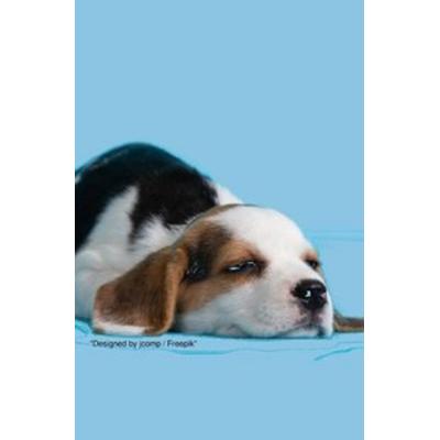 Notizbücher / Süßes Hunde Notizbuch Businessplaner Geschenkidee für Mann Frau und Kind, Taschenbuch von Notizbuch Health, Epubli, 978-3-7529-3851-7