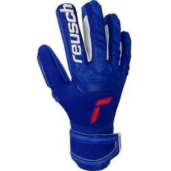 REUSCH Torwarthandschuhe Torwarthandschuhe Attrakt Freegel Silver, Größe 10,5 in Blau Blau