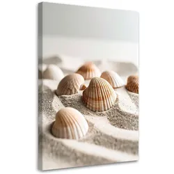 LEINWANDBILD Muscheln Strand Natur Boho 40x60cm