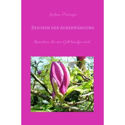 Zeichen der Auserwählung, Taschenbuch von Andrea Pirringer, Epubli, 978-3-7418-2678-8