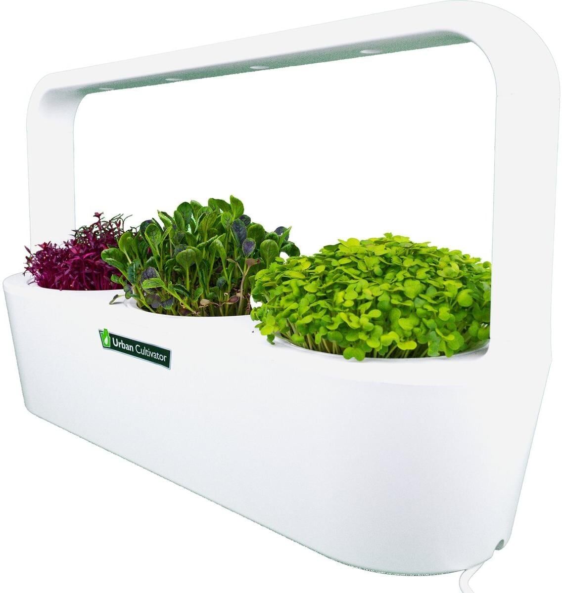 Pflanzschale CLICK AND GROW "MicroBuddy, 38 cm", weiß, B:38cm H:23cm T:12cm, Kunststoff, Pflanzgefässe, Pflanzschale, Kompakter Indoor-Kultivator für frische Microgreens weiß B/H/T: 38cm x 23cm x 12cm