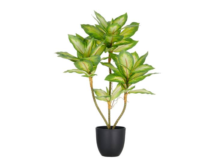 Dieffenbachia artificiel type A 35 x 65 x 35cm