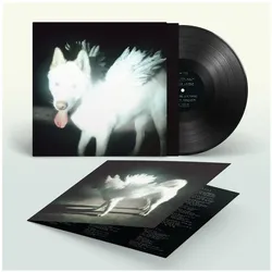 Domino Records, Schallplatten, N/A (Fat Dog)