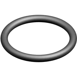 O-Ring (10x) - 87167622050