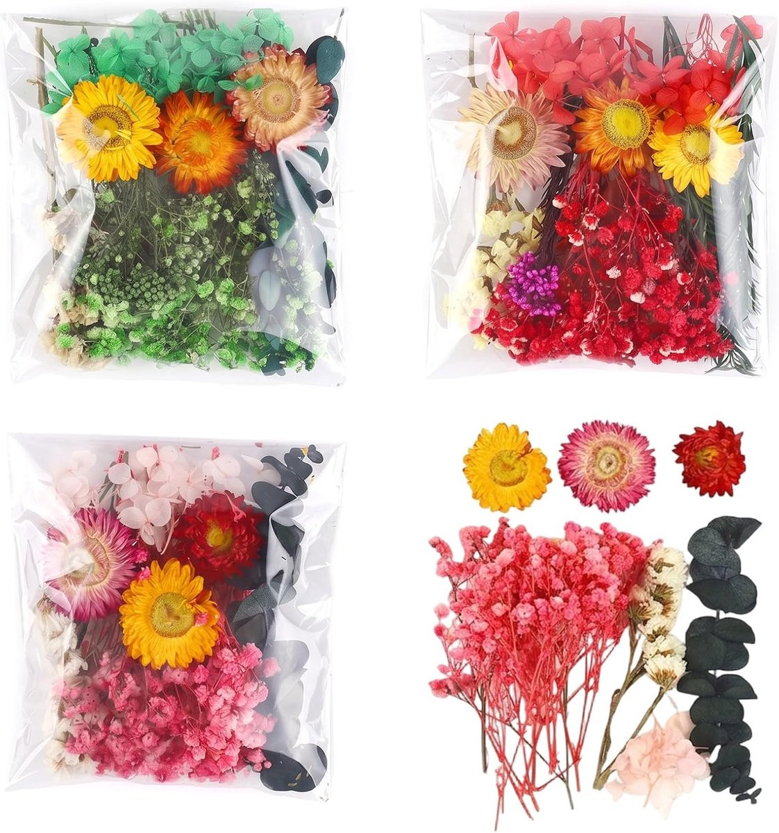 Losse gedroogde bloemen voor decoratie, scrapbooking en DIY-projecten
