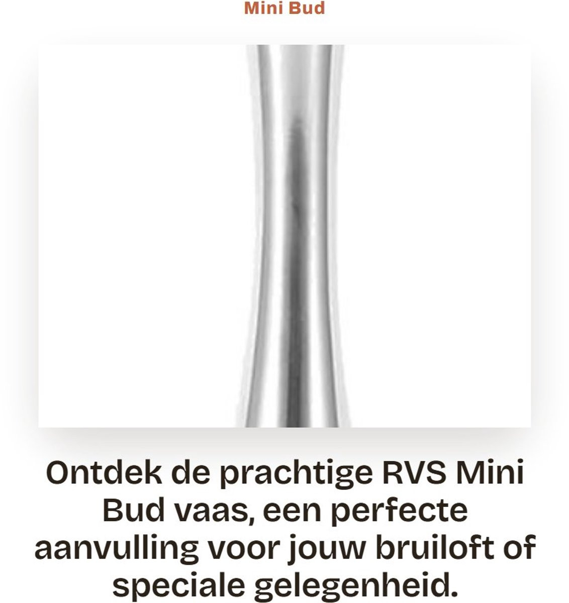 Homevero Mini vaas van RVS met modern design, Hoogte: 15 cm