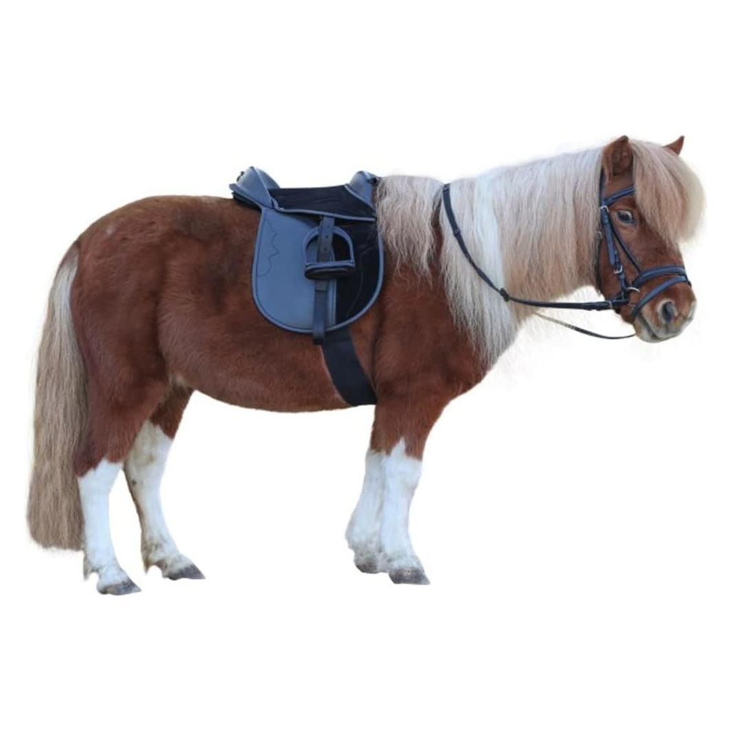 Kerbl Sattelset Economy Pony schwarz (325415_Schwarz)