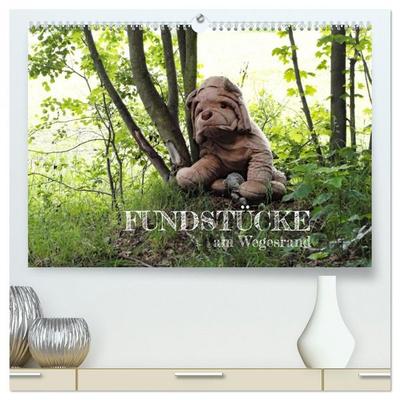 FUNDSTÜCKE am Wegesrand (hochwertiger Premium Wandkalender 2026 DIN A2 quer), Kunstdruck in Hochglanz