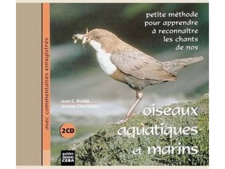 Aquatic and Marine Birds