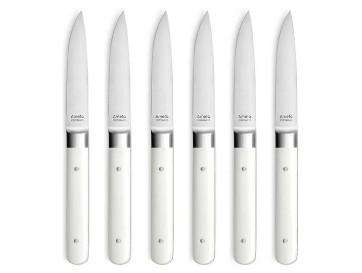 Coffret 6 couteaux steak