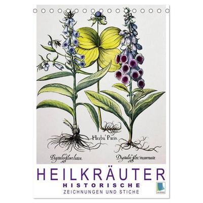 Heilkräuter: Historische Zeichnungen und Stiche (Tischkalender 2027 DIN A5 hoch), CALVENDO Monatskalender