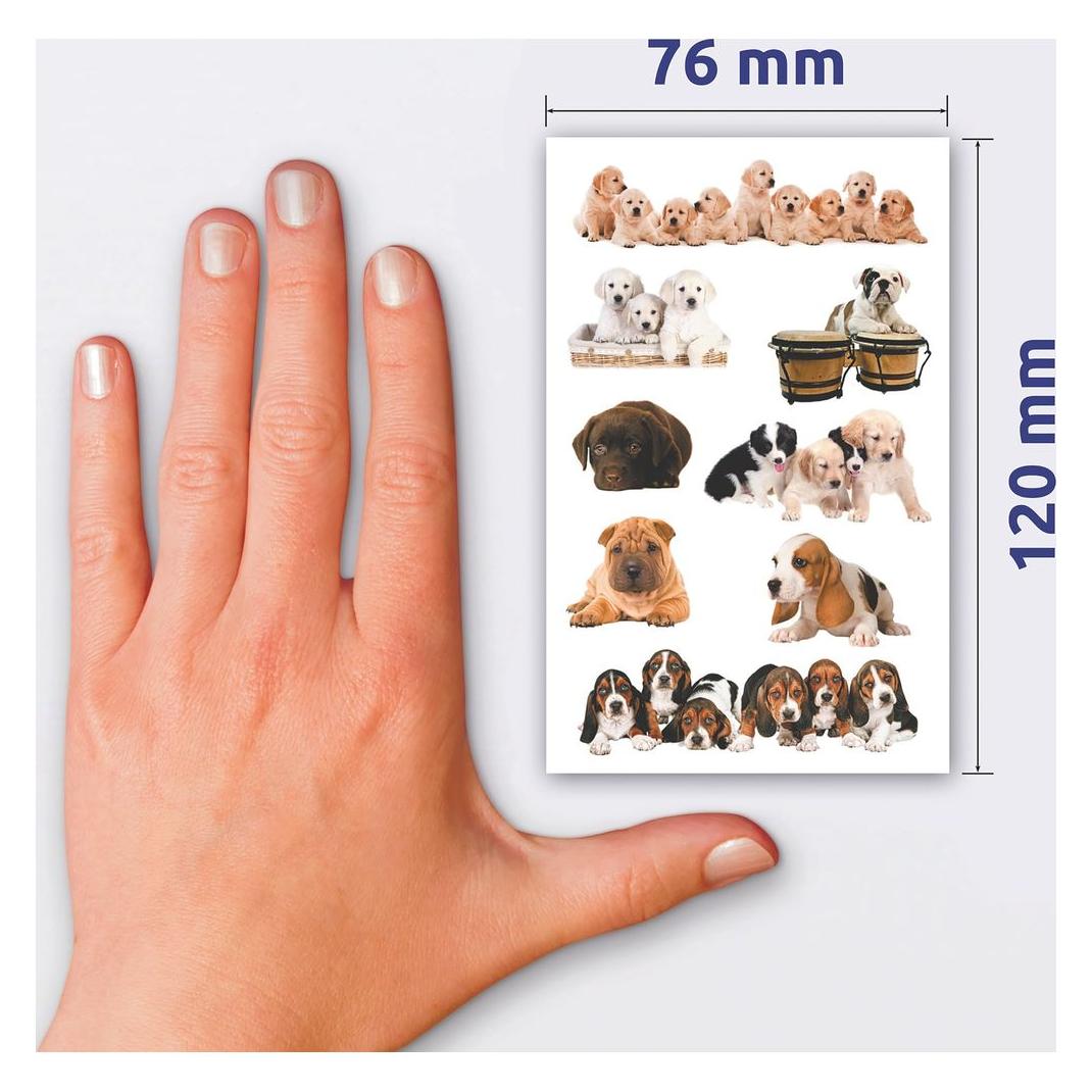 Z-Design Aufkleber Kreativ (24 Sticker) (55972) Mindestbestellmenge: 10 Stück
