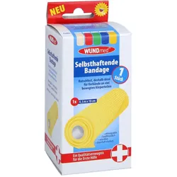Bandage selbsthaftend 10 cmx4,5 m farb.sort.