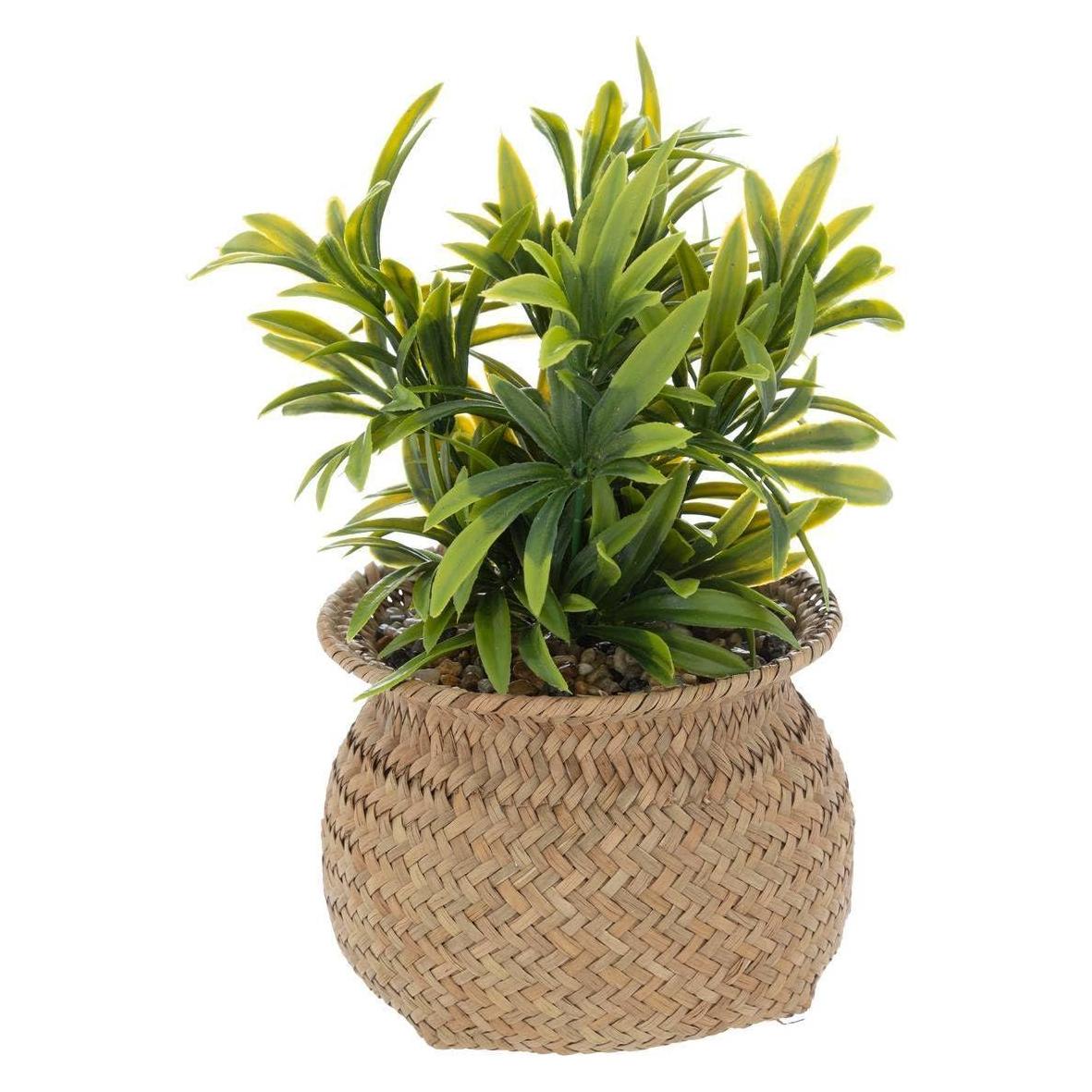 Atmosphera Sztuczna roślina w doniczce JIL, wys. 20 cm (20 cm) (43065811)