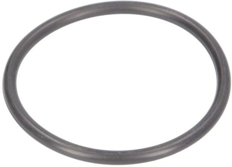 O-Ring-Dichtung (48,7x3,55) für Wagenheber EVERT ZL207101025