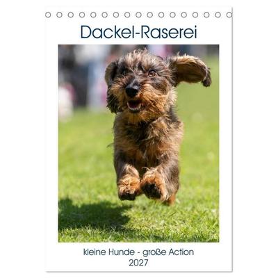 Dackel-Raserei (Tischkalender 2027 DIN A5 hoch), CALVENDO Monatskalender