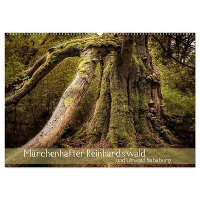 Märchenhafter Reinhardswald und Urwald Sababurg (Wandkalender 2027 DIN A2 quer), CALVENDO Monatskalender