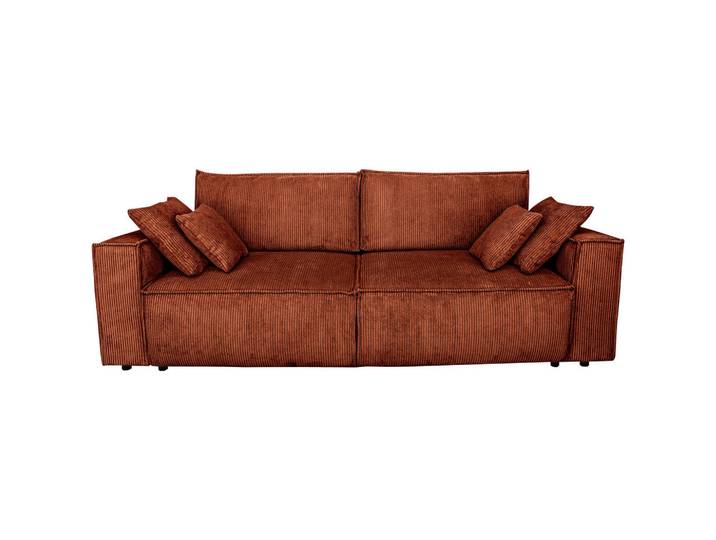 Carryhome Schlafsofa, Rost, Kunststoff, 2-Sitzer, Füllung: Silikon,Silikon,Silikon, 240x89x100 cm, Liegefunktion, Schlafen auf Sitzhöhe, Rücken echt, Wohnzimmer, Sofas & Couches, Schlafsofas, Schlafsofas mit Bettkasten