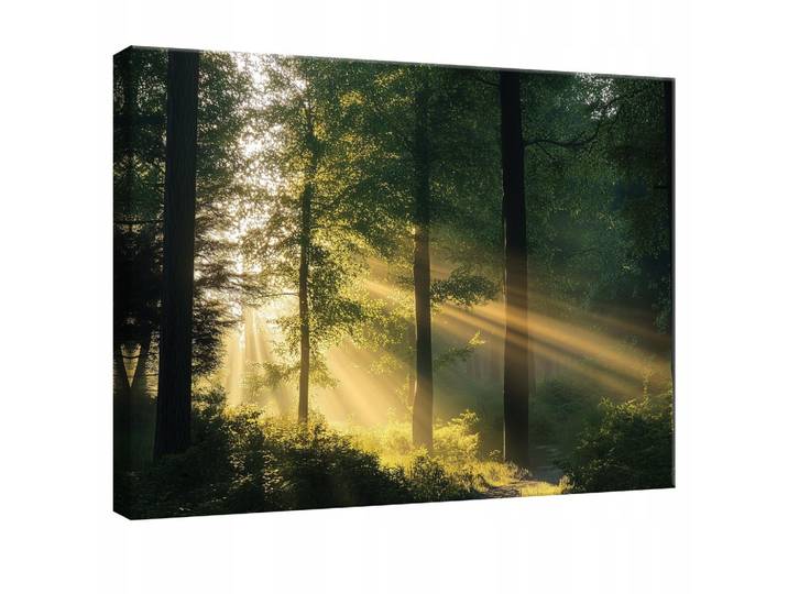 LEINWANDBILD Wald Natur Modern Wohnzimmer 60x40