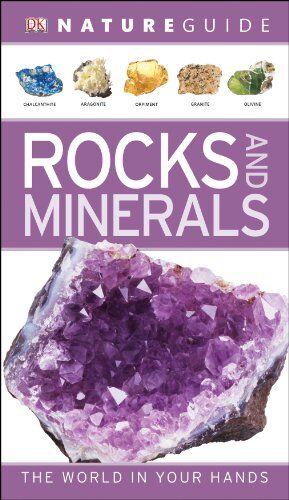 DK - Nature Guide Rocks and Minerals: The World in Your Hands (DK Nature Guide) - Preis vom 11.10.2026 03:10:56 h