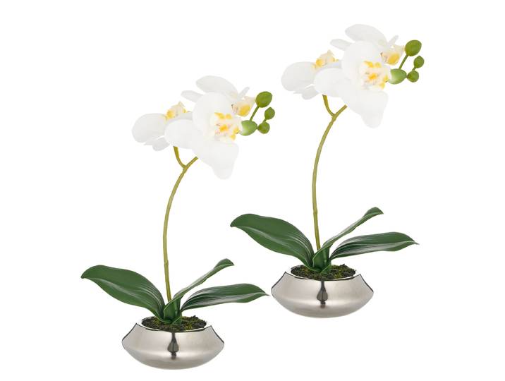 Phalaenopsis artificiel type E 15 x 28 x 12cm