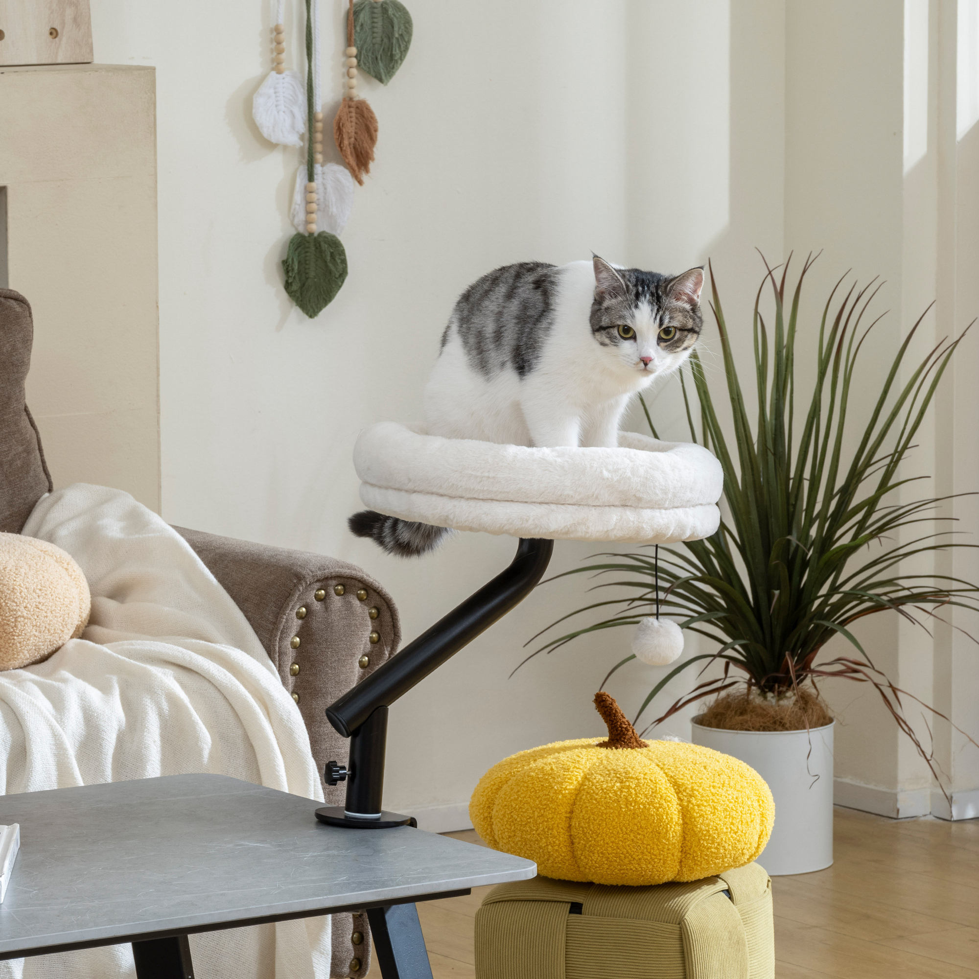Pawhut Letto da Scrivania Girevole per Gatti, Imbottito e Lavabile, con Altezza Regolabile, Crema   Aosom Italy