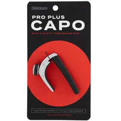 D'Addario PW-CP-19S, Gitarre Zubehör, Silber