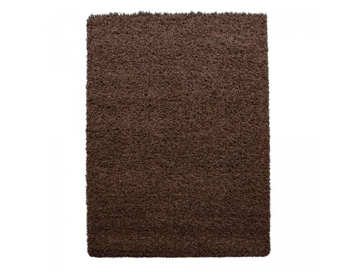 Tapis shaggy 120x170 marron