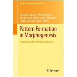 Pattern Formation in Morphogenesis, Fachbücher