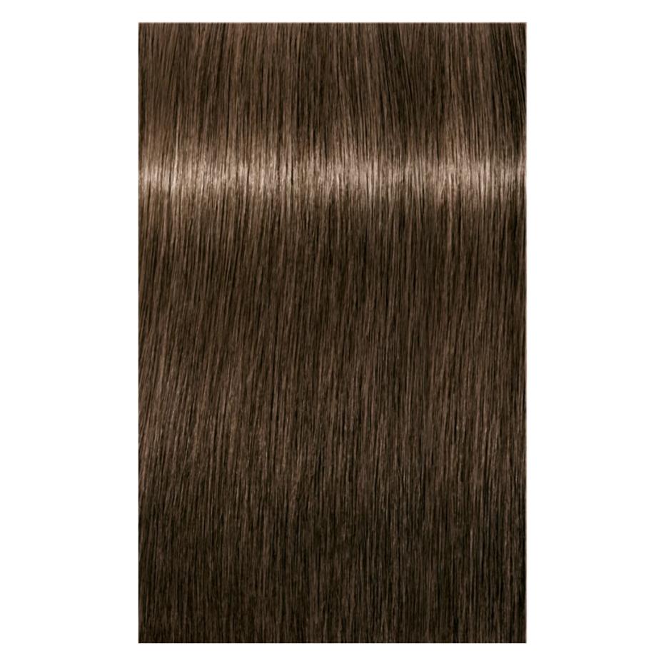 Indola Color - Natural Permanent Color Creme 6.0 Dunkelblond Natur (Dunkelblond natur) (4045787930665)