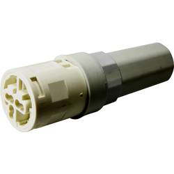 Adels-Contact Stecker 526203 Grau 250 V Piece 50 St.