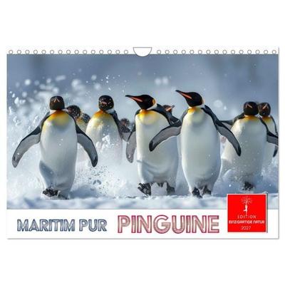 Maritim pur - Pinguine (Wandkalender 2027 DIN A4 quer), CALVENDO Monatskalender