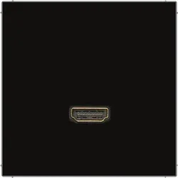 Jung Multimedia-Anschluss sw MA LS 1112 SW