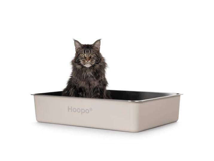 Hoopo Kattenbak Pool
